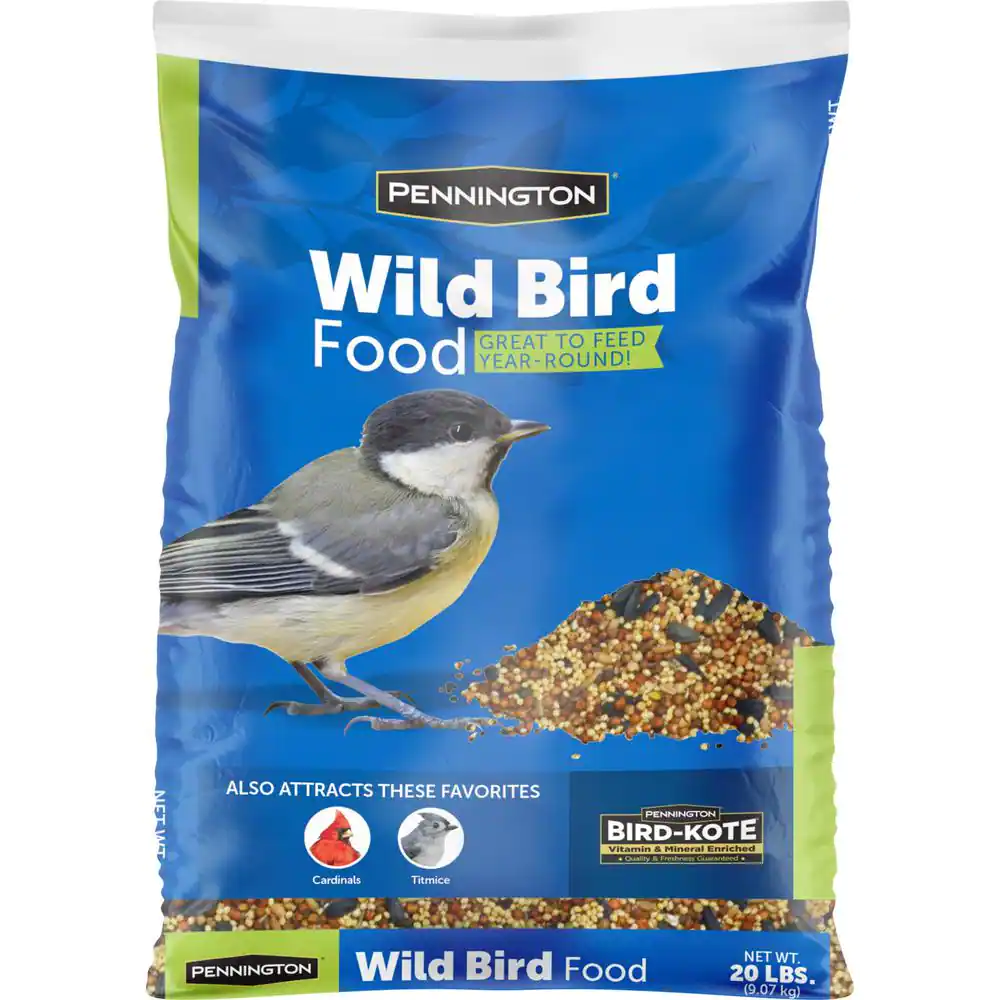 bird seed