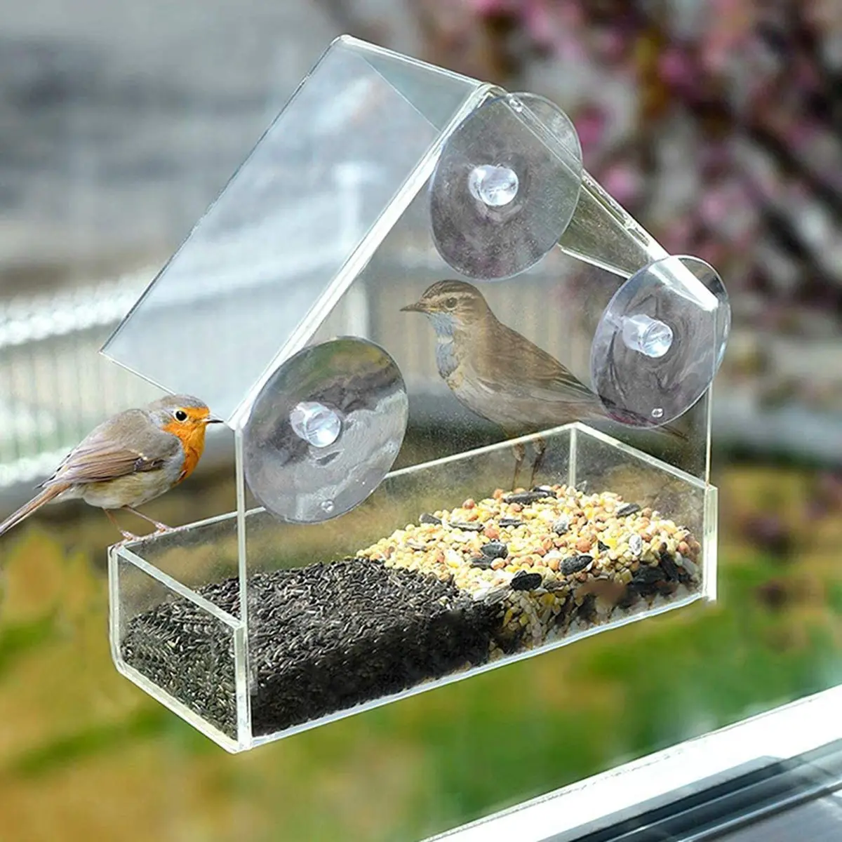 birdfeeder